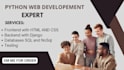power bi and excel expert