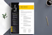 design professional resume design and cover letter design