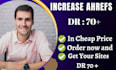 increase your website ahrefs domain rating DR 70 guaranteed