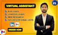 be your VA for b2b and linkedin leads, web research and influencers email list