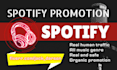 promote your spotify music with an effective ads campaign