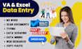 do professional wordpress data entry
