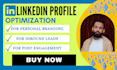 write fully optimize linkedin profile and post