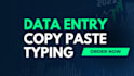 do data entry, web research, copy paste for your business