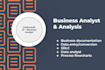 do business analysis and business documentation