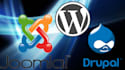build and design wordpress, joomla and drupal website