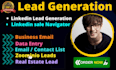 provide linkedin b2b leads verified  email contact list