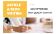 write SEO optimized content articles and blog posts