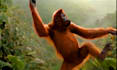 do funny monkey dancing animation with your music and text
