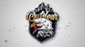 create a professional custom logo animation with low price