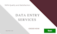 provide fastest data entry services in one day