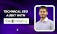 perform technical SEO audit, fix google indexing issues, 404 errors and schema