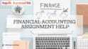 accounting and finance assignments , projects