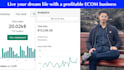 build a profitable shopify dropshipping store