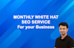 provide monthly SEO service for google top ranking