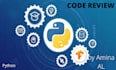 review your python code