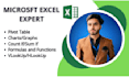 do excel template, excel spreadsheet, excel pivot, dashboard