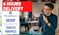migrate, transfer wordpress website in 6 hours