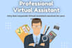 be your professional virtual assistant