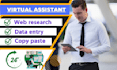 do data entry, copy paste, web research, virtual assistant, data mining,