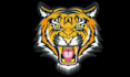 do embroidery digitizing into dst, pes file in 1 hour