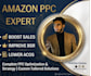 optimize and manage amazon PPC ads campaign