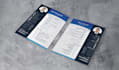 design a very professional cv, delivery it on the same day