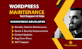 provide wordpress website maintenance and wordpress support or help