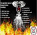 design foam fire suppression system per nfpa 11 and nfpa 16