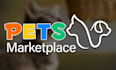 develop pet adoption app, pet marketplace app