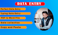 do web research and data entry in 24 hours