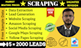 automate web scraping, data mining, amazon and yellow page scraping using python