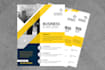 do pro business flyer or brochure design within 6 hrs