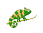 do good looking creative chameleon  logo with free source fil