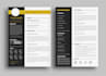 make professional CV and resume design for you