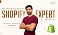 do shopify custom coding or bug fixing and customization