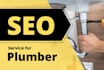provide monthly local SEO service for plumber with gbp optimization