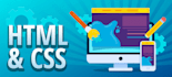 fix any wordpress issue for you