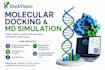 provide docking and MD simulation services