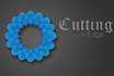 design the ultimate, cutting edge, custom logo
