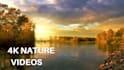 create perfect 4k relaxing music, nature sounds, nature, rain video