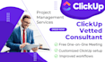be your project manager and consultant for clickup
