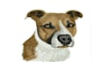 do embroidery digitizing your dog logo design in 1 hour