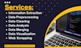 do information extraction, data preprocessing, data analyzing, and data merging
