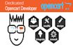 do any opencart customization and management