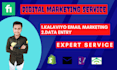 setup klaviyo email marketing, for shopify klaviyo, also do data entry