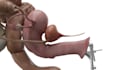 do 3d medical animation