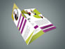 do custom bifold , trifold brochure design