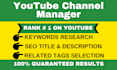 be your best youtube channel growth manager and video SEO expert