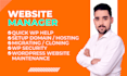 keep your wordpress site up to date and error free no worries with my services